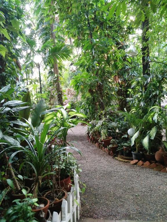 Green Woods Bethlehem Kochi Exterior foto