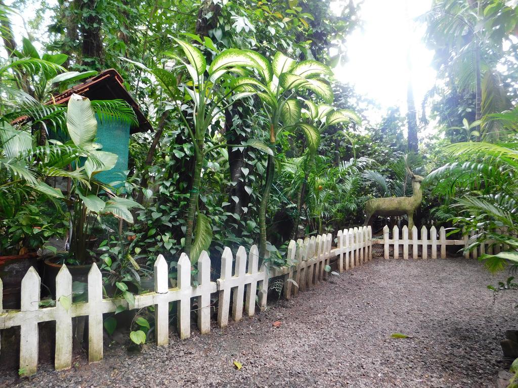 Green Woods Bethlehem Kochi Exterior foto